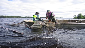 Sannamari Pehkonen_YHAkuvapankki